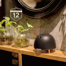 Load image into Gallery viewer, SOICARE Bibo Essential Oil Diffuser
