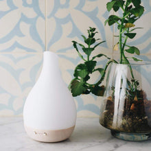 Load image into Gallery viewer, SOICARE Ella Aromatherapy diffuser
