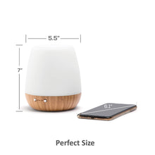 Load image into Gallery viewer, SOICARE Mona Ultrasonic Aroma Diffuser

